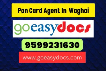 Pan Card Agent Consultant in Waghai 8851415812