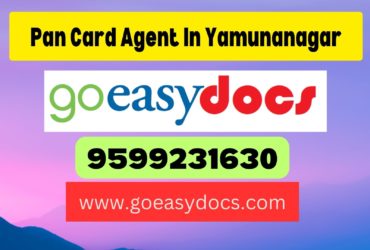 h1>Pan Card Agent Consultant in Yamunanagar 8851415812