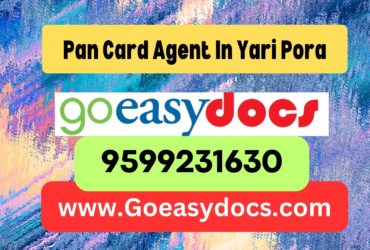 Pan Card Agent Consultant in Yari Pora 8851415812