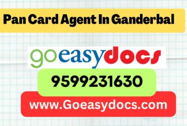 Pan Card Agent Consultant in Ganderbal 8851415812