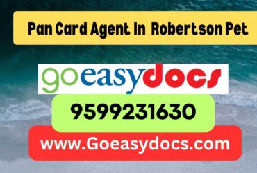 Pan Card Agent Consultant in Robertson Pet 8851415812