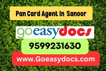 Pan Card Agent Consultant in Sanoor 8851415812