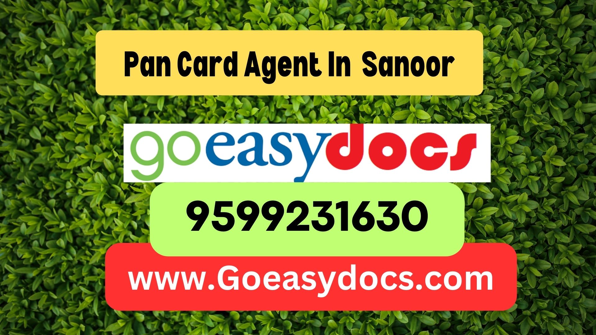 Pan Card Agent Consultant in Sanoor 8851415812