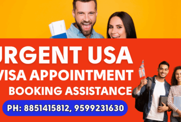 Need help with DS-160 form in Thane 9667745457